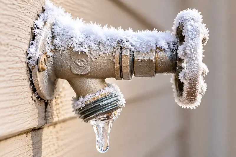 winterize exterior faucets and exposed pipes